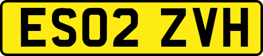ES02ZVH