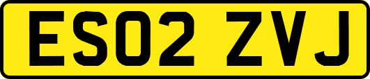 ES02ZVJ