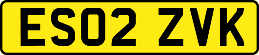 ES02ZVK