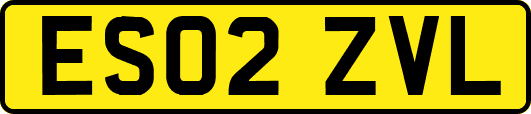 ES02ZVL