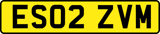 ES02ZVM