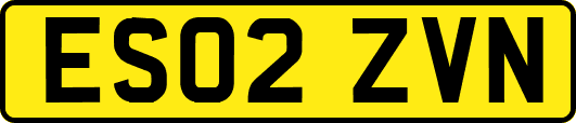 ES02ZVN