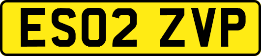 ES02ZVP