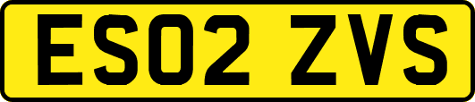ES02ZVS