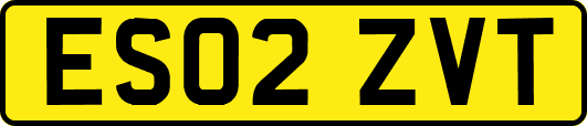 ES02ZVT
