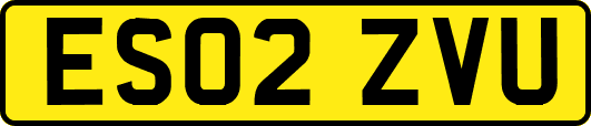 ES02ZVU