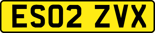 ES02ZVX