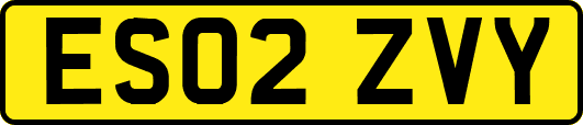 ES02ZVY