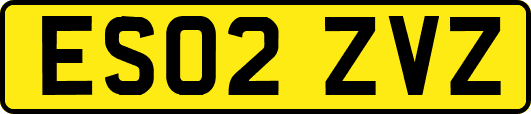 ES02ZVZ