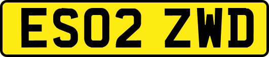 ES02ZWD