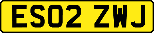 ES02ZWJ