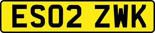 ES02ZWK