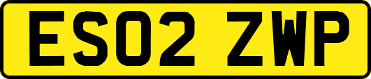 ES02ZWP
