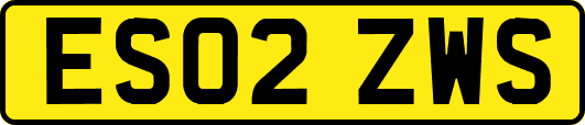 ES02ZWS