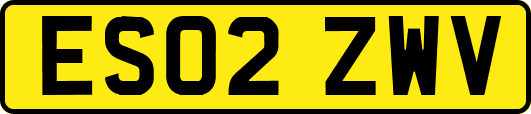 ES02ZWV
