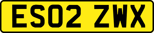 ES02ZWX