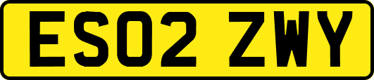 ES02ZWY