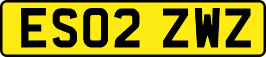 ES02ZWZ