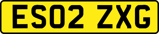 ES02ZXG