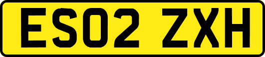 ES02ZXH