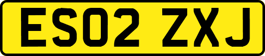 ES02ZXJ