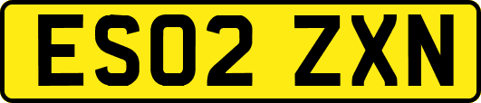 ES02ZXN