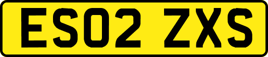 ES02ZXS