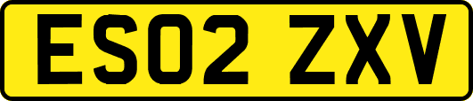 ES02ZXV