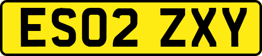 ES02ZXY