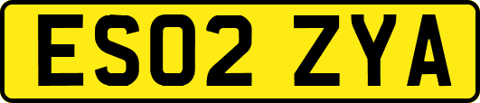 ES02ZYA