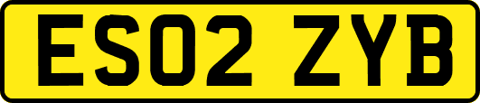 ES02ZYB