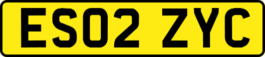 ES02ZYC