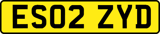 ES02ZYD