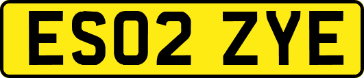 ES02ZYE