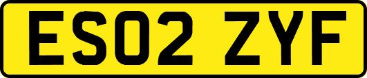 ES02ZYF