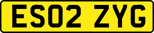 ES02ZYG