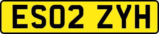 ES02ZYH
