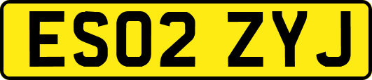 ES02ZYJ