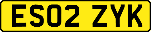 ES02ZYK