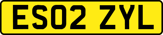 ES02ZYL