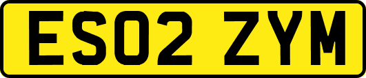 ES02ZYM