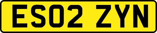ES02ZYN