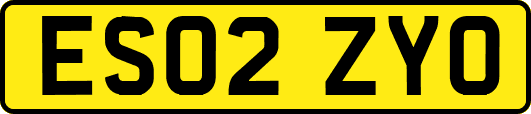 ES02ZYO
