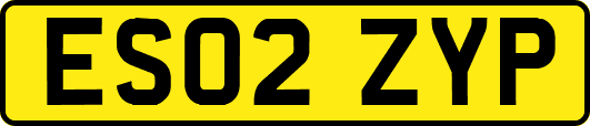ES02ZYP