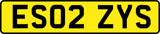 ES02ZYS