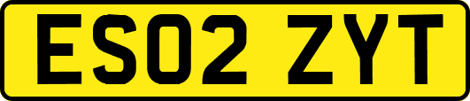 ES02ZYT
