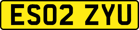 ES02ZYU