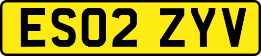 ES02ZYV