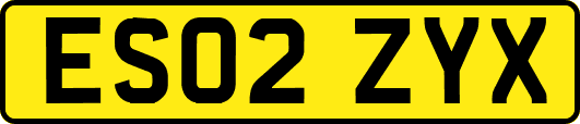 ES02ZYX
