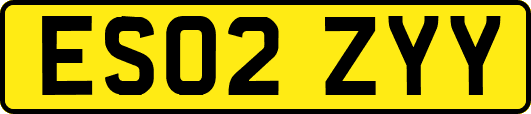 ES02ZYY